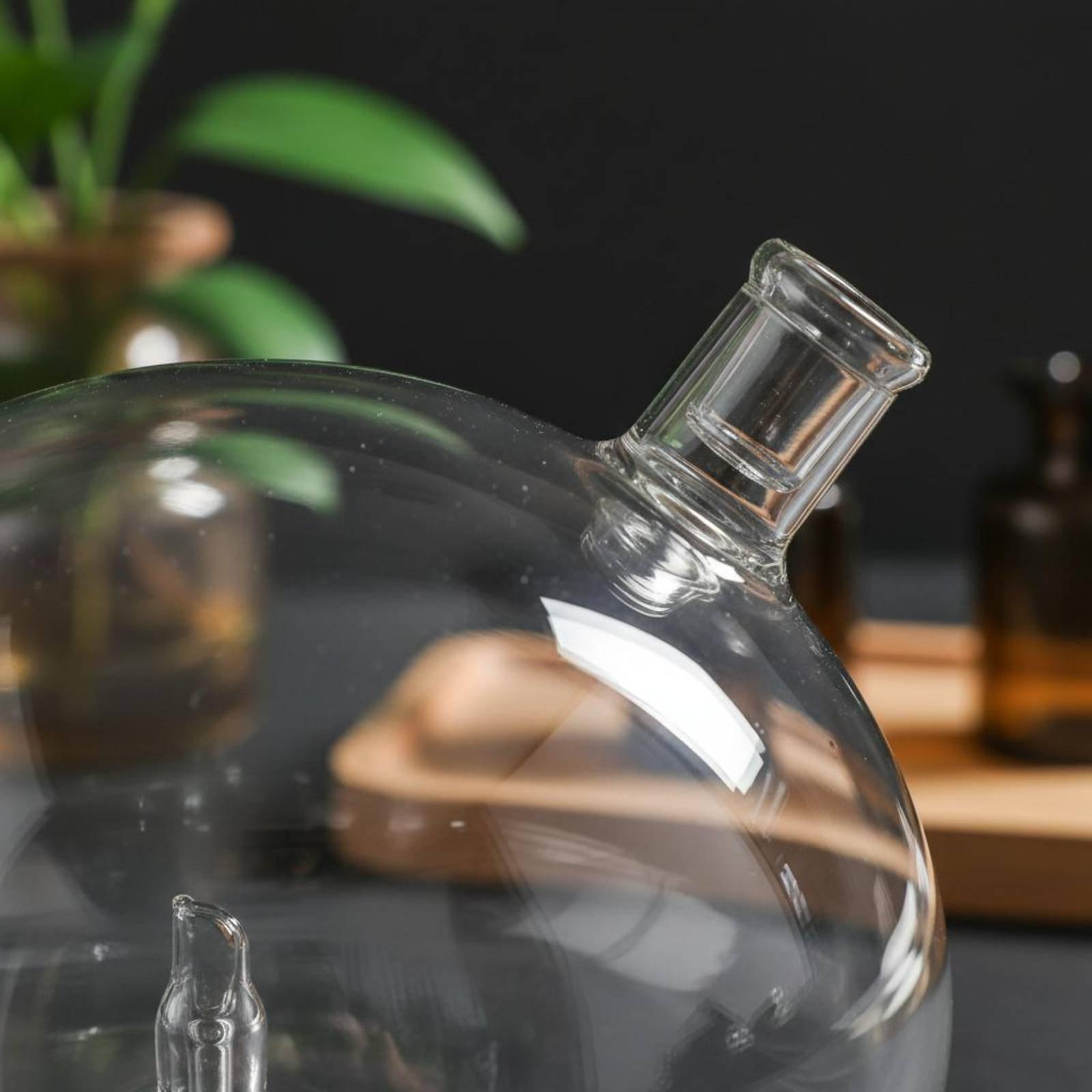 ディフューザーボトル ユニバーサルフィット ガラス交換用 ウ - Home Fragrance Us のレビューと価格